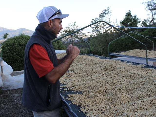 コスタリカ「カリサル・アリバ／フレンチロースト(深煎り)」200g