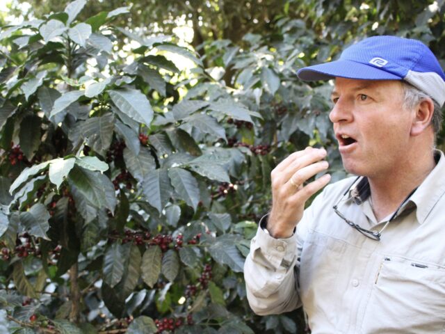 グアテマラ「アンティグア　ロス・クシナレス農園／シティロースト(中煎り)」200g