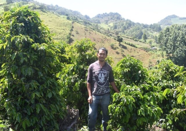 ホンジュラス「オロ・デ・チャギテ／フレンチロースト(深煎り)」200g