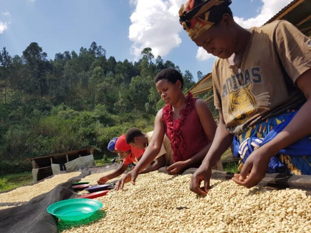 ルワンダ「マチアゾW.S.  ビナナ／ミディアムロースト(浅煎り)」200g